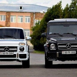 �, �������, 42 ����