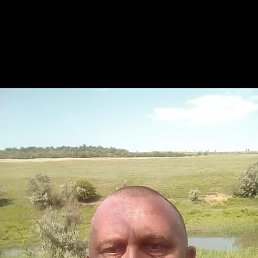 , 52 , --