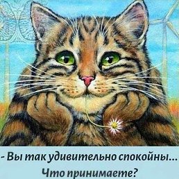 �����, �������
