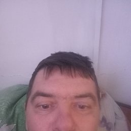 , 44, 