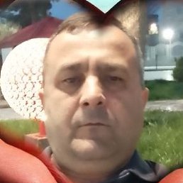 ������, �������, 48 ���