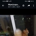 ���� ���, ������, 47 ��� - ��������� 3 ������� 2025 � ������ ������ ��������