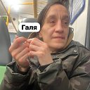 ���� ����, ������, 41 ��� - ��������� 26 ������ 2024 � ������ ���� ����������