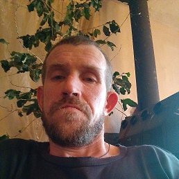 �����, 40 ���, ������