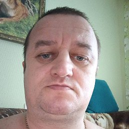 ����, ���������, 46 ���