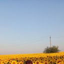 ���� �������, ��������������, 65 ��� - ��������� 14 ���� 2024 � ������ ���� ����������