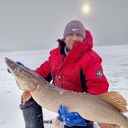 �����, 43 ����, ������