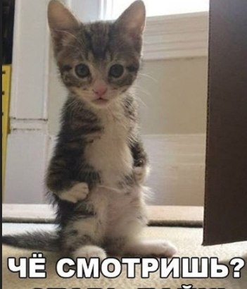     ,   ,    (   ! )..., - ... - 2