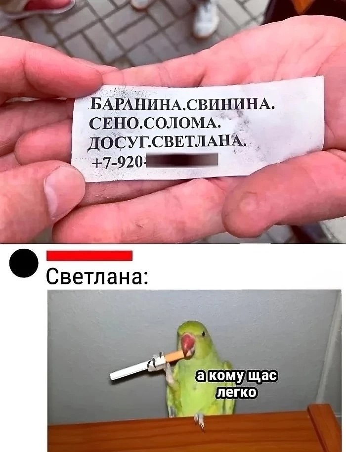  - 14  2025  08:09