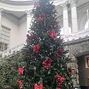 ���� �����, ���������, 47 ��� - ��������� 11 ������ 2026 � ������ ���� ����������