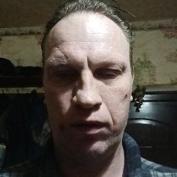 ������, �������, 41 ���