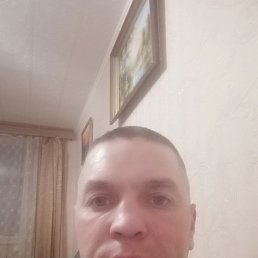 ���� �����, �����, 41 ��� - ��������� 23 ������� 2024