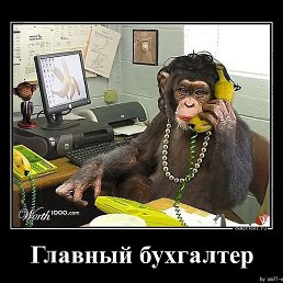 ���������������, ������-��-����, 49 ���