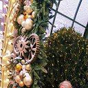 ���� �������, �����, 48 ��� - ��������� 6 ������ 2026 � ������ ���� ����������