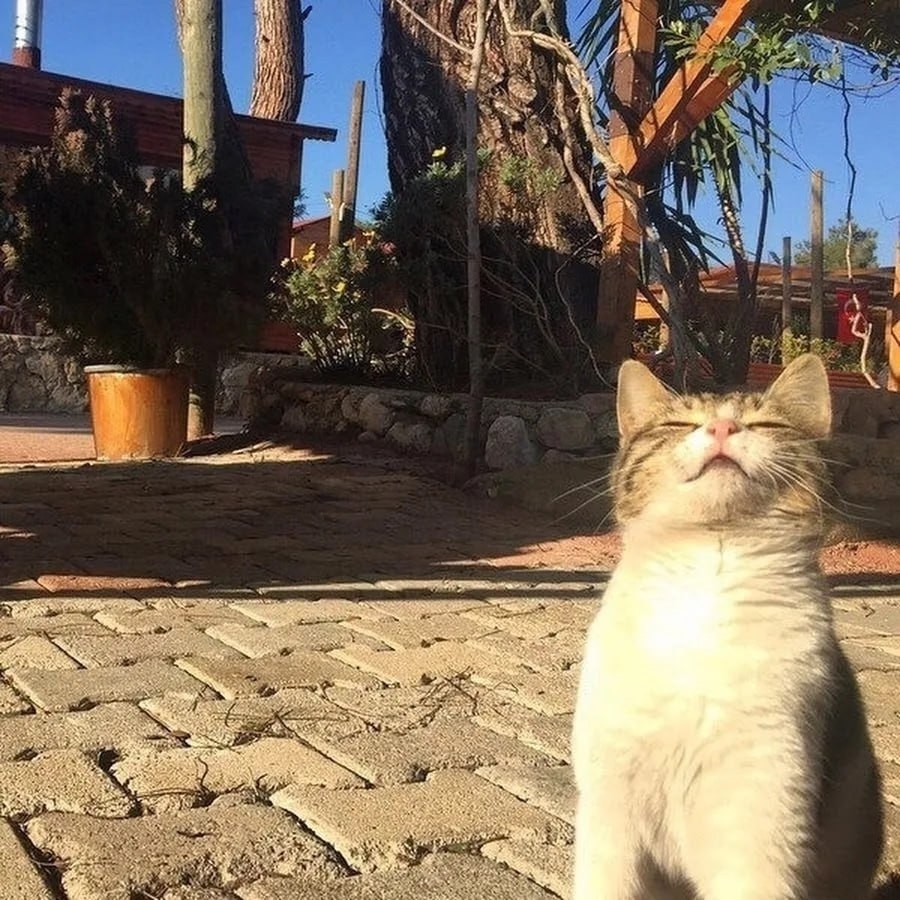 �� ������ ����������, � ����������� � ������� ��������� ������ ���� � ����������� �� +15�+16 ...