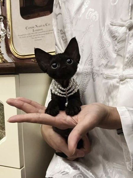 �� ����� �� ��� �������, ����� ����� �� ����������, ��� ��� �������