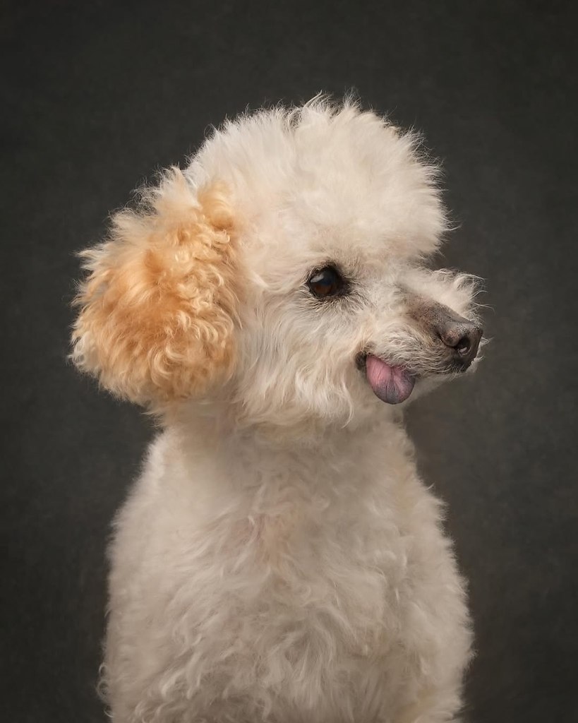 ,  .    ,    ,     18  - 3