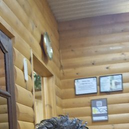 , 37, 