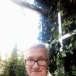 ������, ���������, 55 ���