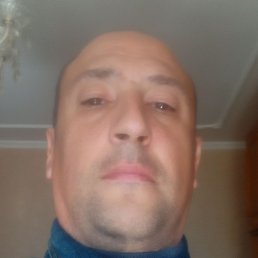 ������41, ������������, 41 ���