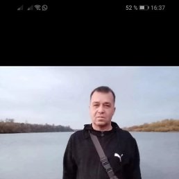, 50, 