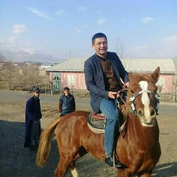 , 36, 