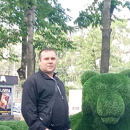 �����, 41 ���, ���������