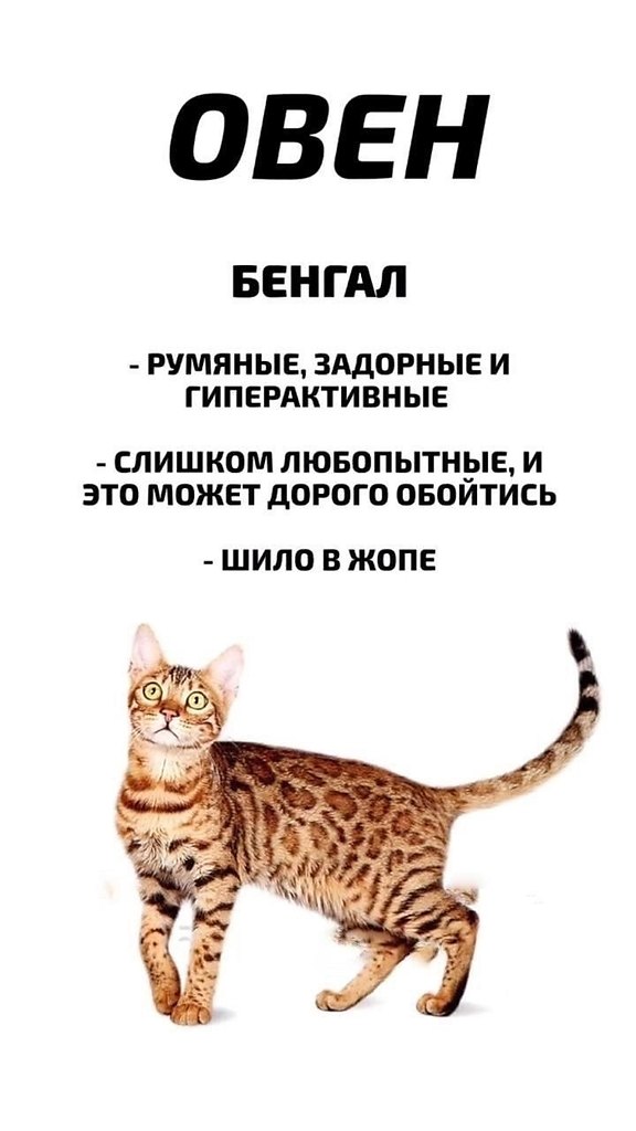       - 5