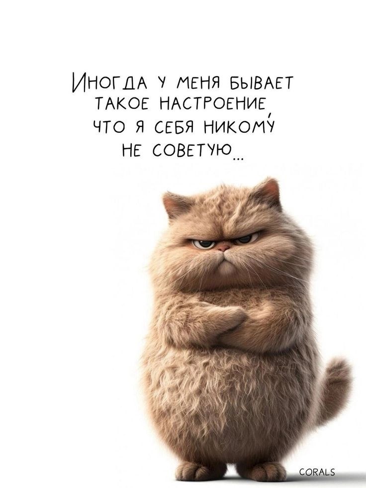  - 31  2025  22:42