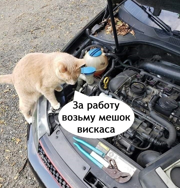 => - 3