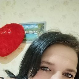 , 31 , 
