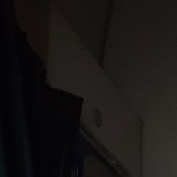 Waldemar, ������, 60 ���