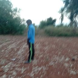 Gopal, �����������, 27 ���