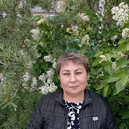 , 60, -