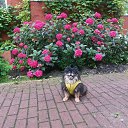 ���� ����, �����������, 64 ���� - ��������� 20 ���� 2025 � ������ ������ ��������