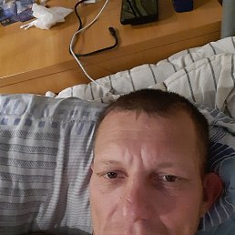 , 41, 
