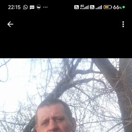 , 45, 