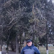 ���������, 66 ���, ��������