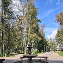  , , 49  -  21  2025   .  ( )