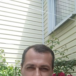 , 44, 