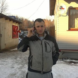 , 37, 