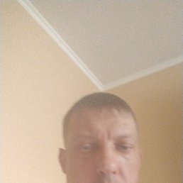 , 41, 