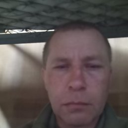 ������, 46 ���, ����