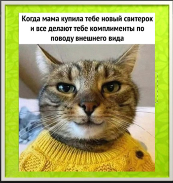   - 7  2025  20:01
