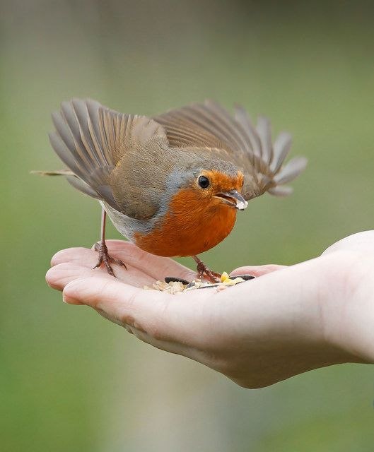 ...  ,  .       -  ... ...