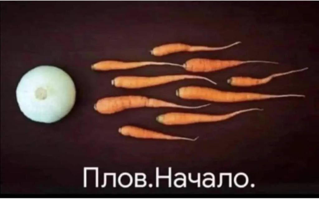  - 9  2024  00:18