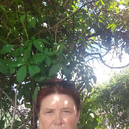 , 63, 