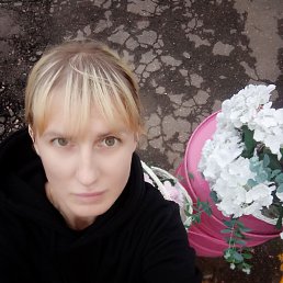 , 41, 