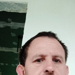 , 40, 