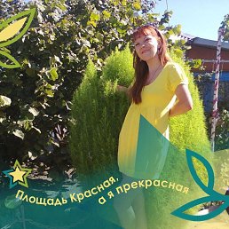 ����� Zv, �����������, 37 ���